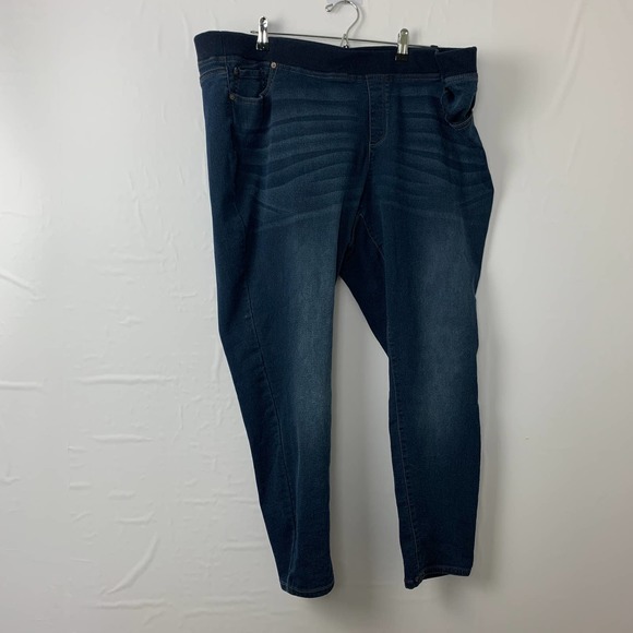 Terra Sky Blue Jean Jeggings 